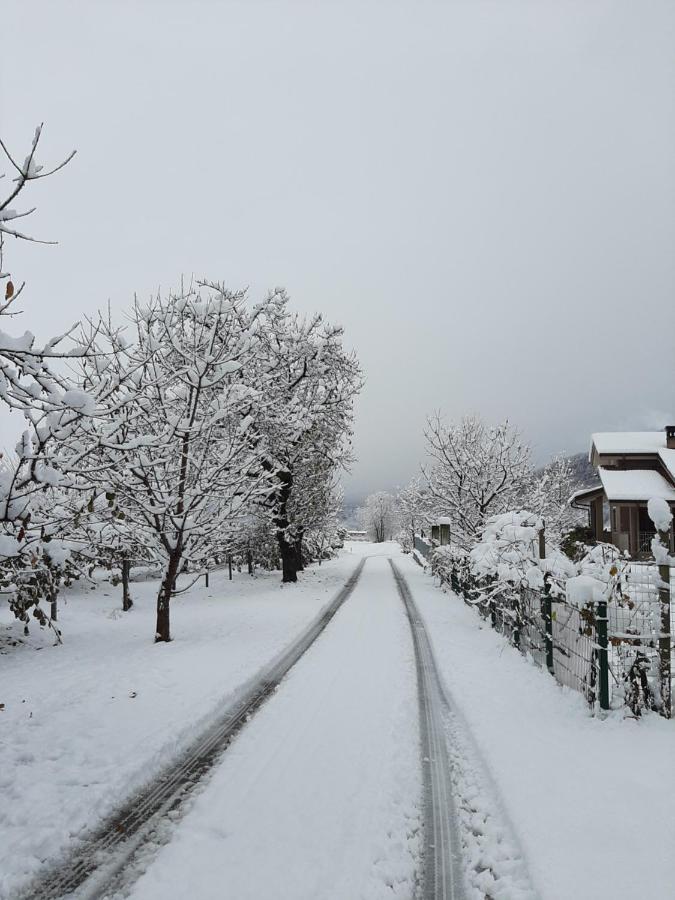 Agriturismo Fior Di Campo درونيرو المظهر الخارجي الصورة