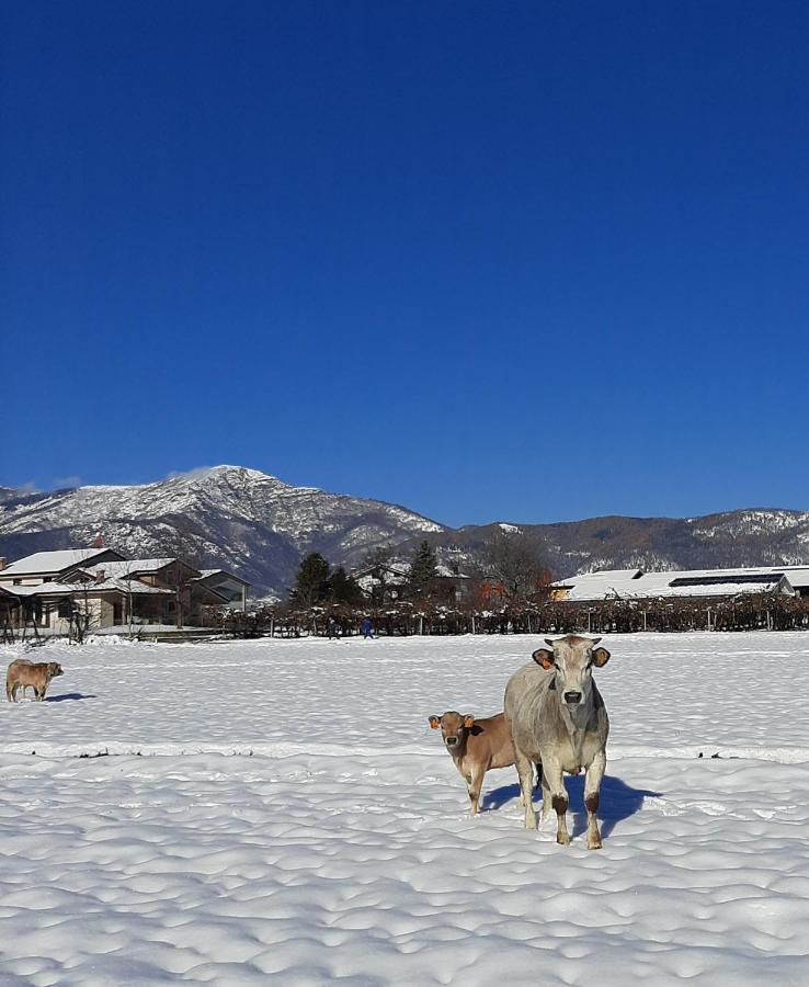 Agriturismo Fior Di Campo درونيرو المظهر الخارجي الصورة