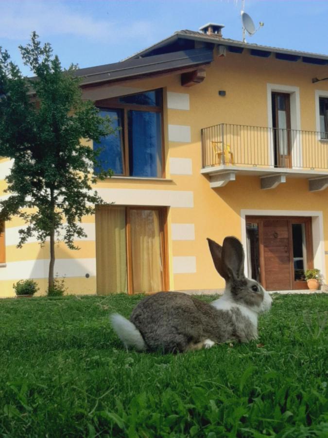 Agriturismo Fior Di Campo درونيرو المظهر الخارجي الصورة