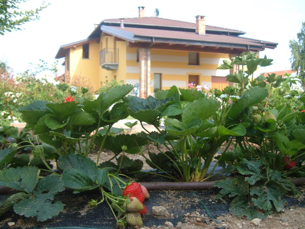 Agriturismo Fior Di Campo درونيرو المظهر الخارجي الصورة