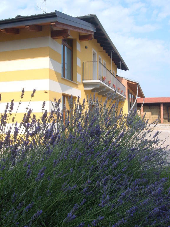 Agriturismo Fior Di Campo درونيرو المظهر الخارجي الصورة